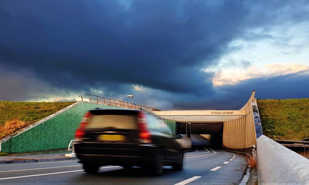 verkeersveiligheid-yp