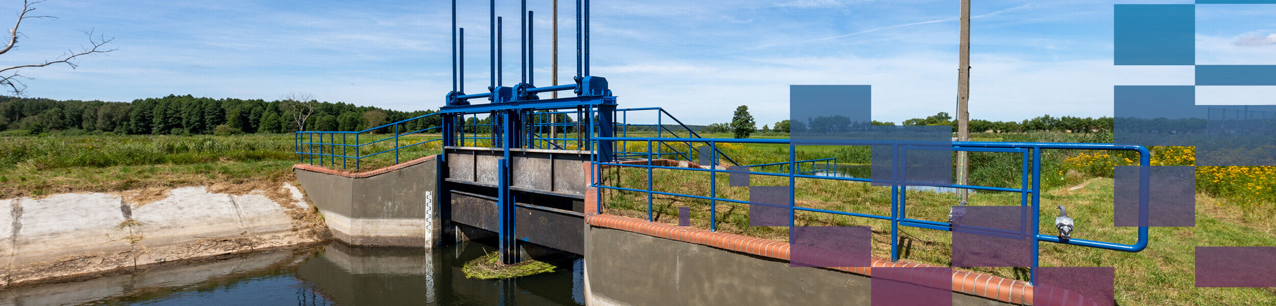 yp-slider-grid-24