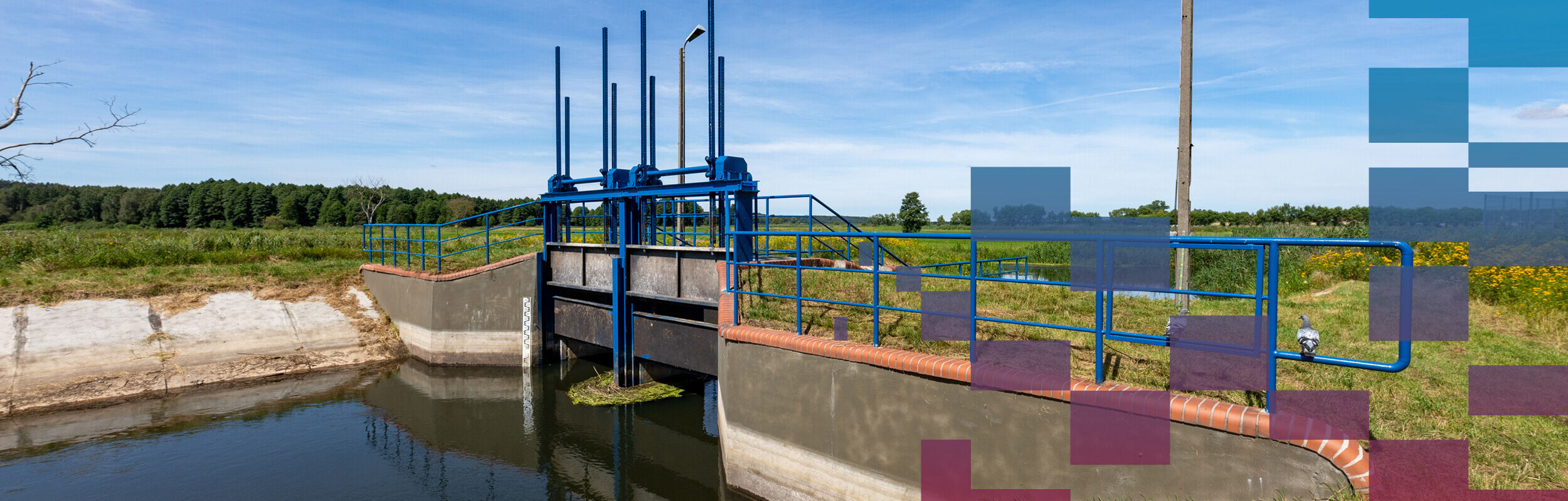 yp-slider-grid-24