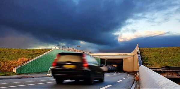 verkeersveiligheid-yp